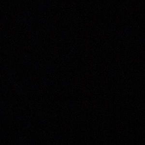 Meet your Posher, Shirley